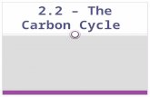 2.2 – The Carbon Cycle. Where is Carbon Stored? Short Term Stores: Land and marine animals and plants and in decaying organic matter. Land and marine.