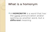 What is a homonym A HOMONYM is a word that has the same pronunciation and/or spelling as another word, but a different meaning.