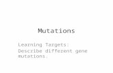 Mutations Learning Targets: Describe different gene mutations.