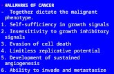 HALLMARKS OF CANCER - Together dictate the malignant phenotype. 1. Self-sufficiency in growth signals 2. Insensitivity to growth inhibitory signals 3.