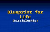 Blueprint for Life (Discipleship). Blueprint for Life Overview 26 Weeks (2 Sessions per year) 26 Weeks (2 Sessions per year) 21 Lessons, 4 Review Weeks,