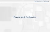 Introduction to Psychology Brain and Behavior. Introduction to Psychology FIGURE Subparts of the nervous system.