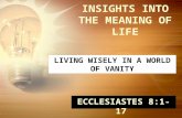 I NSIGHTS INTO THE M EANING OF L IFE E CCLESIASTES 8:1-17 L IVING W ISELY IN A W ORLD OF V ANITY.