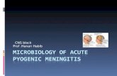 CNS block Prof.Hanan Habib. Definition Pyogenic meningitis is an inflammation of the meninges affecting Pia, Arachnoid and subarachnoid space. A serious.