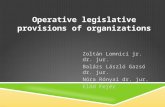 Operative legislative provisions of organizations Zoltán Lomnici jr. dr. jur. Balázs László Gazsó dr. jur. Nóra Rónyai dr. jur. Előd Fejér.