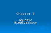 Chapter 6 Aquatic Biodiversity. Chapter Overview Questions  What are the basic types of aquatic life zones and what factors influence the kinds of life.