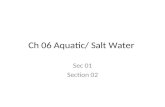 Ch 06 Aquatic/ Salt Water Sec 01 Section 02. A. AQUATIC ENVIRONMENTS 1.Saltwater and freshwater aquatic life zones cover almost three-fourths of the earth’s.