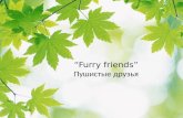 “Furry friends” Пушистые друзья «Sounds» [Ө] [ә][ә] [t] [ v] [][]