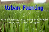 Urban Farming Mary Salisbury, Anuj Varughese, Meagan Heath, and Steve Callaghan.