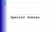 Special Senses. The Senses  General senses  Temperature (cold &heat)  Pressure  Fine touch  Pain  Proprioceptors of muscles and joints  Special.