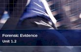 Forensic Evidence Unit 1.2. What does this say… Illusions  ns/index.html  ns/index.html.
