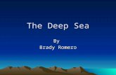 The Deep Sea By Brady Romero. Intro Undocumented What is it? –Physically –Environmentally –Biologically  m/watch?v=Uqly8ERI kHM.