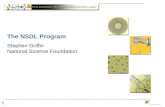 1 The NSDL Program Stephen Griffin National Science Foundation.