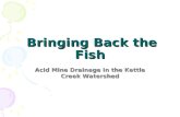 Bringing Back the Fish Bringing Back the Fish Acid Mine Drainage in the Kettle Creek Watershed.