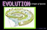E. Coleman 2010 The Origin of Species. “Evolution” means change over time. The “Theory of Evolution” says: – Living things on Earth have changed over.