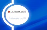 Risk Assessment for VTE. Which of the following best describes you?