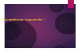 “ Adrenoblockers. Simpatholitics ". 1. Overview of the blockers, 2. Classification blockers. 3. Indications for use, side effects of blockers. 4. Pharmacodynamics,