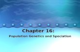 Chapter 16: Population Genetics and Speciation. Chapter 16.1 Genetic Equilibrium.
