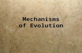 Mechanisms of Evolution. There are several: 1.Natural Selection 2.Gene Flow 3.Genetic drift 4.Mutations 5.Non-random mating There are several: 1.Natural.