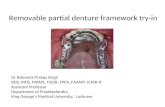 Removable partial denture framework try-in Dr Balendra Pratap Singh BDS, MDS, MAMS, FISDR, FPFA, FAAMP, ICMR-IF Assistant Professor Department of Prosthodontics.