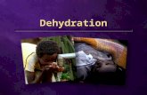 Dehydration. 70% water 70% water What can cause dehydration? Neglecting to drink water Much sweating Diarrhoea or vomiting Too sick to eat or drink.