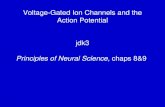 Voltage-Gated Ion Channels and the Action Potential jdk3 Principles of Neural Science, chaps 8&9.