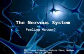 The Nervous System Feeling nervous? By: Conor Chinitz, Kelvin Chen, Nathan Bolton, Jack Clifford.