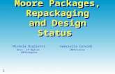 1 Moore Packages, Repackaging and Design Status Michela Biglietti Univ. of Naples INFN/Naples Gabriella Cataldi INFN/Lecce.