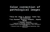 Color correction of pathological images *Tokiya Abe,Pinky A. Bautista, Yukako Yagi, John Gilbertson **Yuri Murakami, Masahiro Yamaguchi, Nagaaki Ohyama.