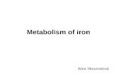 Metabolism of iron Alice Skoumalová. Iron in an organism:  total 3-4 g (2,5 g in hemoglobin)  heme, ferritin, transferrin  two oxidation states: Fe.