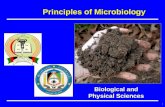 Biological and Physical Sciences Principles of Microbiology 1.