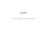Lipids Ch 11, Stryer Short Course. Lipids and Membranes There is a lot of important biochemistry of lipids. We won’t cover it all! The key points for.