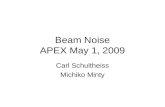 Beam Noise APEX May 1, 2009 Carl Schultheiss Michiko Minty.
