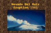 Nevado Del Ruiz Eruption 1985. Andean Volcanic Belt Most northern Volcano on Andean Volcanic Belt Plate boundaries: –Nazca plate, –Antarctic plate, –South.