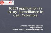 ICECI application in Injury Surveillance in Cali, Colombia Andrés Fandiño-Losada Edgar Muñoz María Isabel Gutiérrez Martínez.