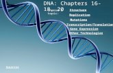 DNA: Chapters 16-18, 20 Choose a topic: Structure Replication Mutations Transcription/Translation Gene Expression Other Technologies Sources.