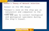 Darwin’s Theory of Natural Selection Darwin on the HMS Beagle Evolution  Darwin’s role on the ship was as naturalist and companion to the captain.  His.