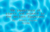 The importance of plants and animals to the ancient Egyptians By: Alexis Thacker Scribe By: Alexis Thacker Scribe.