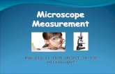 How big is that object in the microscope?. Calculating total magnification REVIEW If two lenses are always magnifying the specimen, how do you figure.