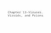 Chapter 13-Viruses. Viroids, and Prions. General Characteristics of all viruses Contain a single type of nucleic acid Contain a protein coat Obligate.