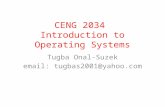 1 CENG 2034 Introduction to Operating Systems Tugba Onal-Suzek email: tugbas2001@yahoo.com.