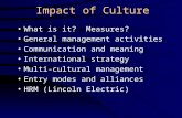 Impact of Culture What is it? Measures? General management activities Communication and meaning International strategy Multi-cultural management Entry.