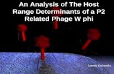 An Analysis of The Host Range Determinants of a P2 Related Phage W phi James Kokorelis.