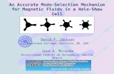 An Accurate Mode-Selection Mechanism for Magnetic Fluids in a Hele-Shaw Cell David P. Jackson Dickinson College, Carlisle, PA USA José A. Miranda Universidade.