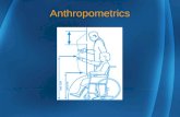 Anthropometrics. Standing Working Heights Sitting Working Heights Reaches Gender Strength Differences Postural Strength Differences.