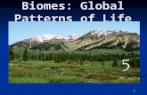 1 Biomes: Global Patterns of Life. 2 Terrestrial Biomes Biomes - Areas sharing similar climate, topographic and soil conditions, and roughly comparable.