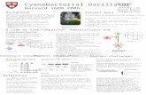 Cyanobacterial Oscillator Harvard iGEM 2006 Why care about biological oscillators in the first place? Bio-oscillators have a number of potential applications: