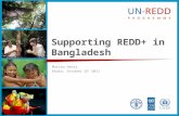 Supporting REDD+ in Bangladesh Matieu Henry Dhaka, October 25 h 2011.