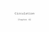 Circulation Chapter 42. The Need for a Circulatory System? One celled organisms (bacteria) do not have a circulatory system—they rely solely on diffusion.