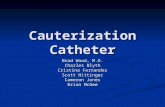 Cauterization Catheter Brad Wood, M.D. Charles Blyth Cristina Fernandez Scott Hittinger Cameron Jones Brian McGee.